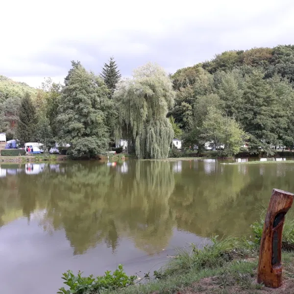 campingplatz-pfrimmtal-pfrimmerhof-bei-sippersfeld-mcktx