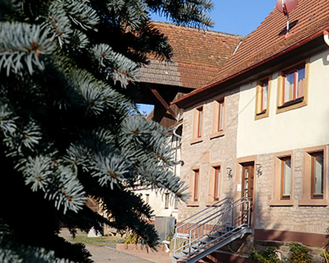 campingplatz-pfrimmtal-pfrimmerhof-bei-sippersfeld-oaprj