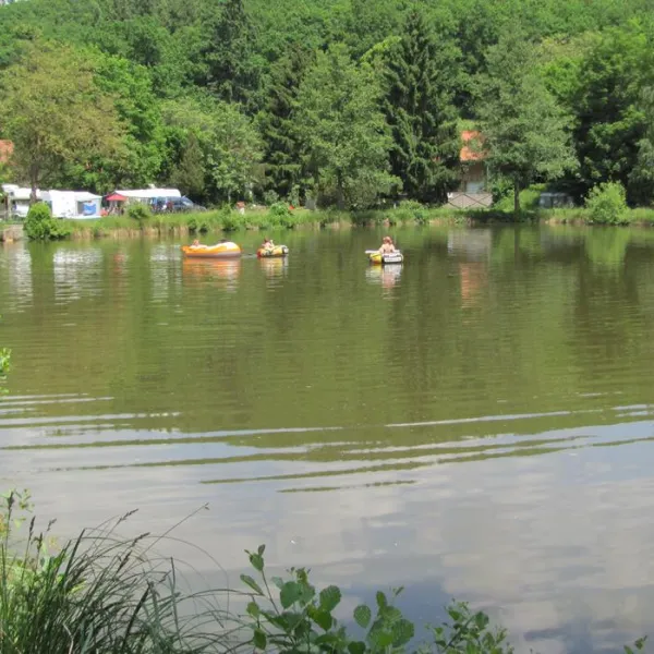 campingplatz-pfrimmtal-pfrimmerhof-bei-sippersfeld-p0apz