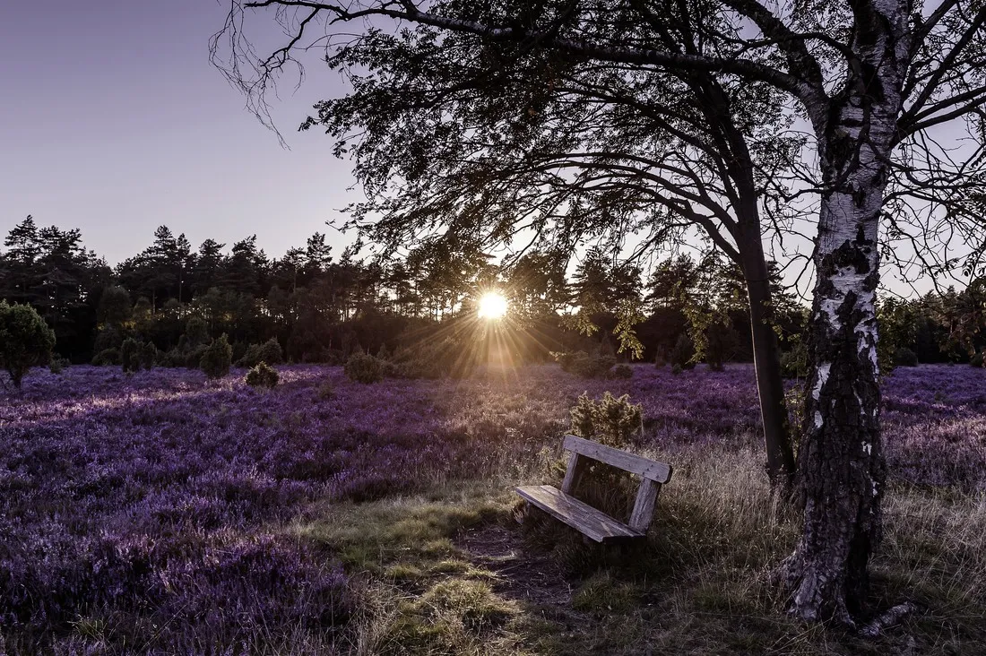 campingpark-lneburger-heide-schneverdingen-oyghe
