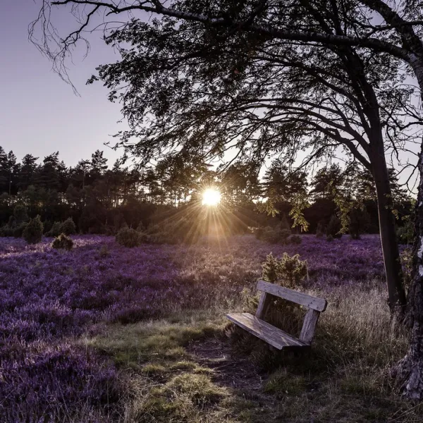 campingpark-lneburger-heide-schneverdingen-oyghe