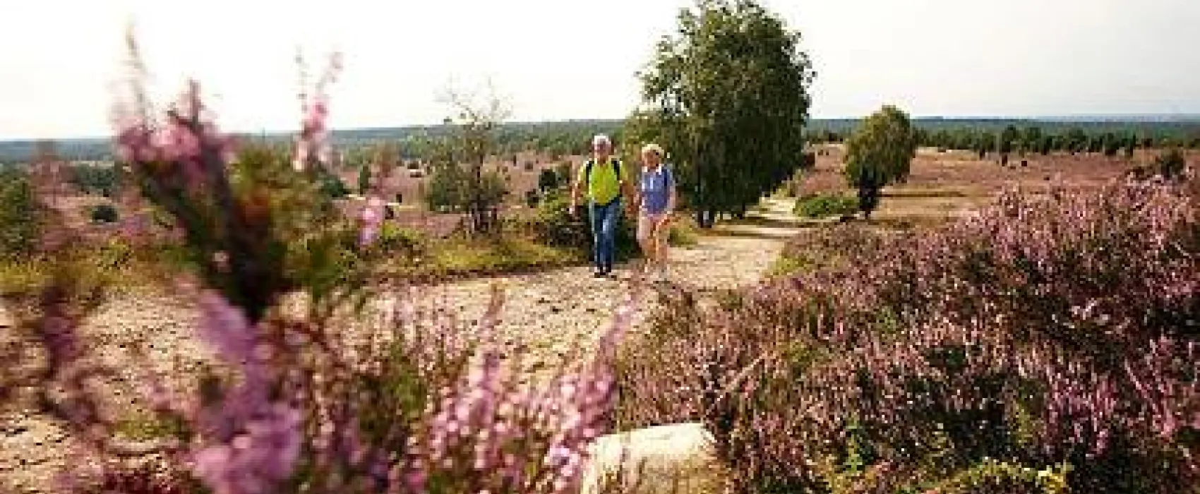Camping-Park Lüneburger Heide