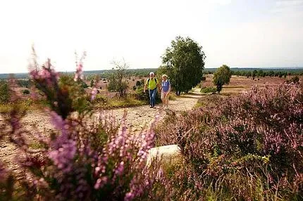 campingpark-lneburger-heide-schneverdingen-rtsgk