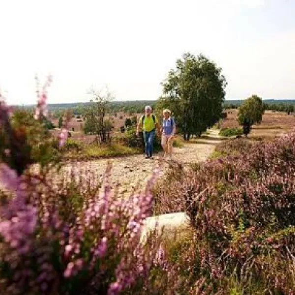 campingpark-lneburger-heide-schneverdingen-rtsgk
