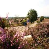 campingpark-lneburger-heide-schneverdingen-rtsgk