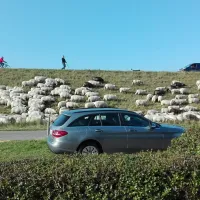 Camping Nieuwehoven