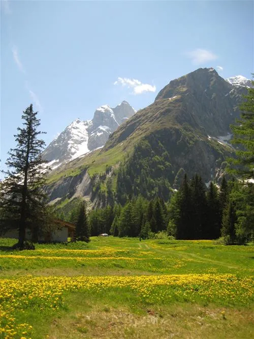 camping-glaciers-la-fouly-jpejv