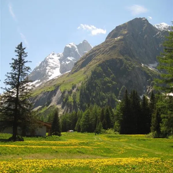 camping-glaciers-la-fouly-jpejv