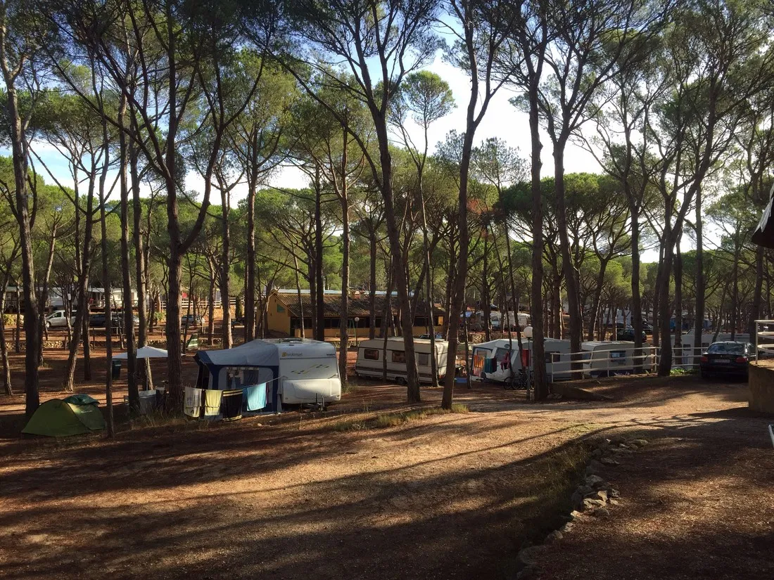 camping-cala-montg-gerona-a15t9