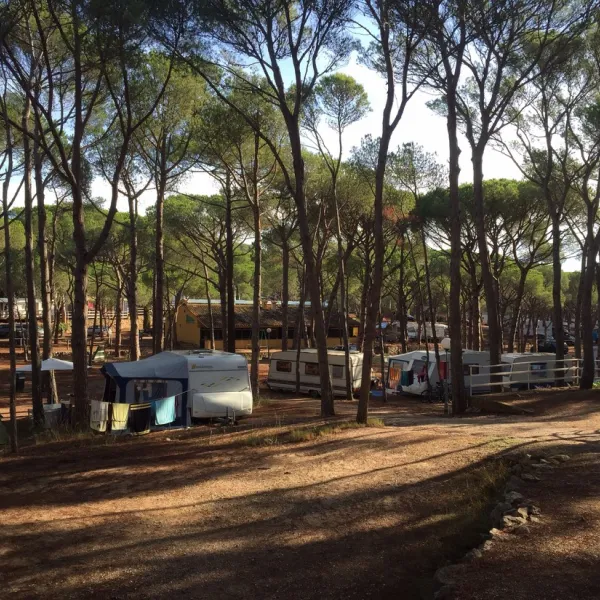camping-cala-montg-gerona-a15t9