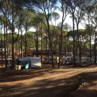camping-cala-montg-gerona-a15t9
