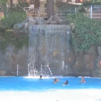 camping-cala-montg-gerona-w2xlu
