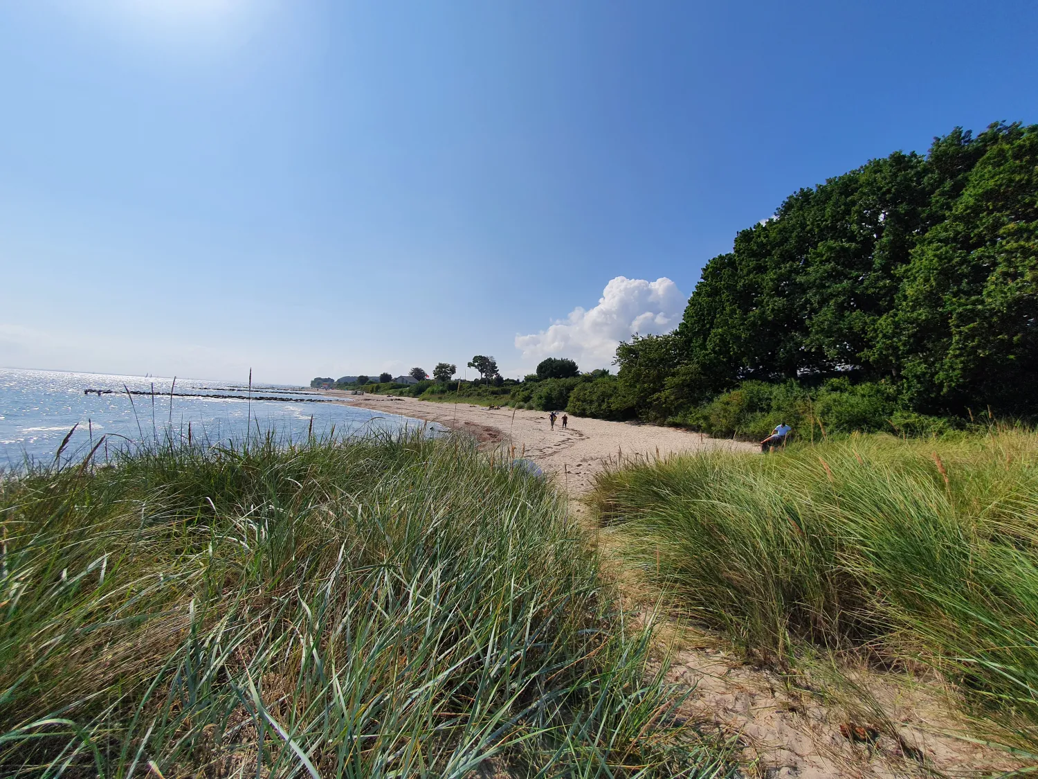campingland-ostsee-gmbh-cokg-schashagenbliesdorf-9twnn