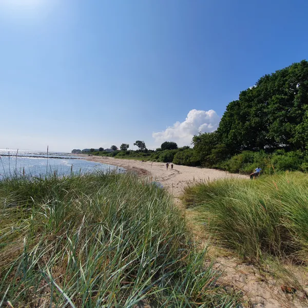 campingland-ostsee-gmbh-cokg-schashagenbliesdorf-9twnn