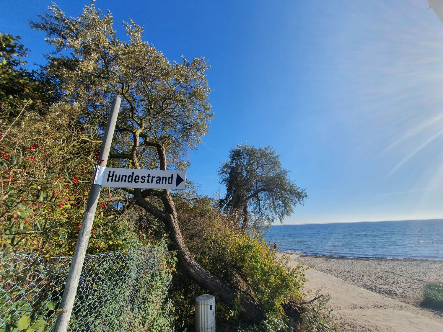 campingland-ostsee-gmbh-cokg-schashagenbliesdorf-nzvoj