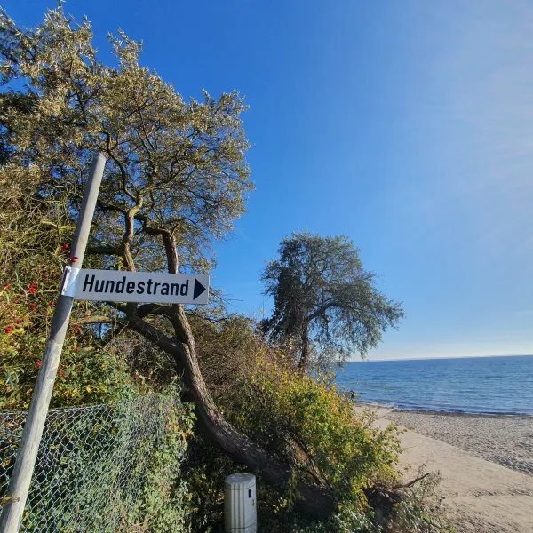 campingland-ostsee-gmbh-cokg-schashagenbliesdorf-nzvoj