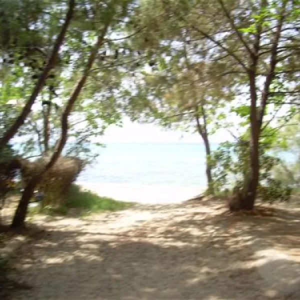 camping-prinou-thassos-esiit