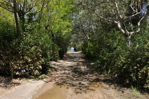 camping-prinou-thassos-j0yfb