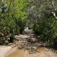 camping-prinou-thassos-j0yfb