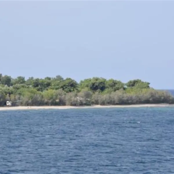 camping-prinou-thassos-ognwf