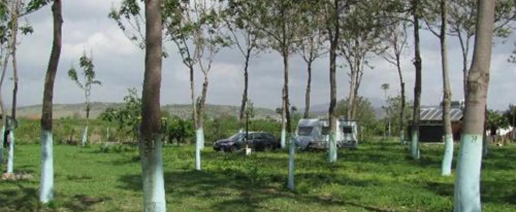Garden Camping