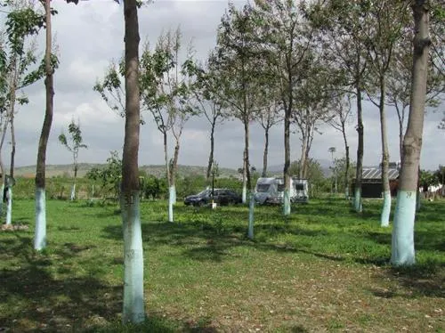 garden-camping-selcuk-v8glk