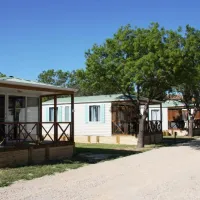flower-camping-domaine-de-la-palme-la-palme-2fm0d