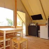 flower-camping-domaine-de-la-palme-la-palme-dxvny
