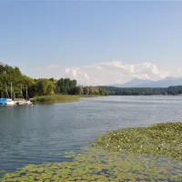 ferienparadies-gut-horn-waging-am-see-351pt
