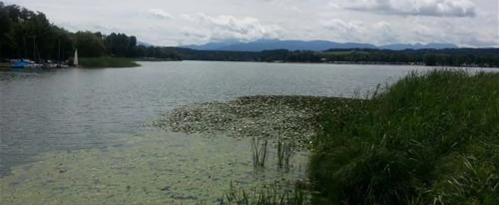 Ferienparadies Gut Horn