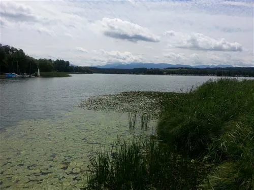 ferienparadies-gut-horn-waging-am-see-4mmg2