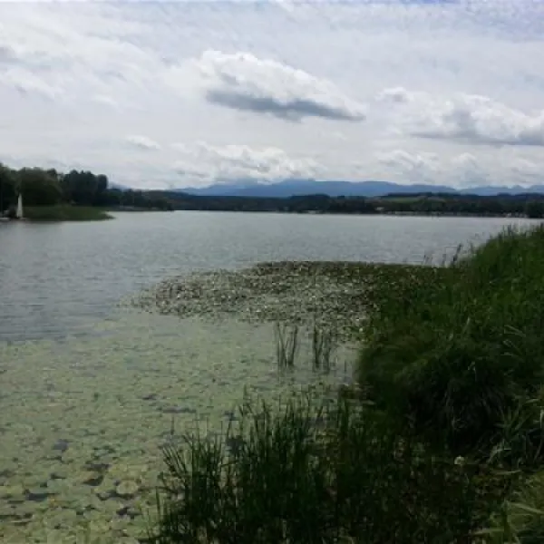 ferienparadies-gut-horn-waging-am-see-4mmg2