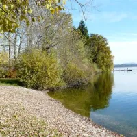ferienparadies-gut-horn-waging-am-see-a7ltu
