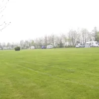 de-soetelaer-sint-margriete-y5g7x
