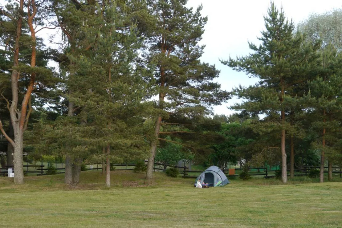camping-dzintarkrasts-zocene-kgkcq