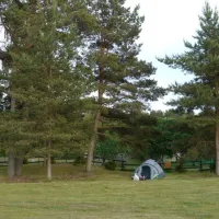 camping-dzintarkrasts-zocene-kgkcq