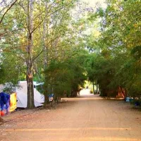 limone-beach-camping-castiadas-a73ys