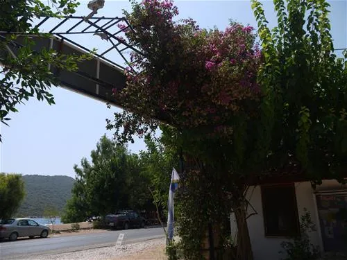 olympos-mocamp-kas-tsoqx