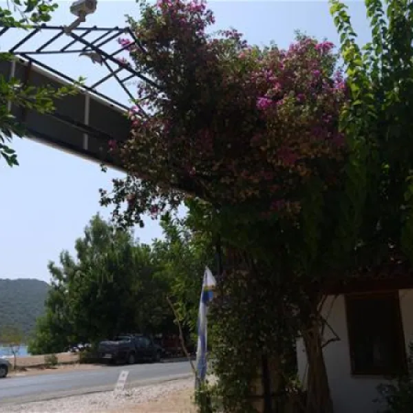 olympos-mocamp-kas-tsoqx