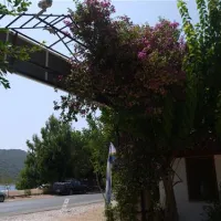 olympos-mocamp-kas-tsoqx