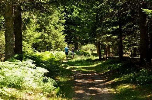 camping-le-vertige-echandelys-bneuy
