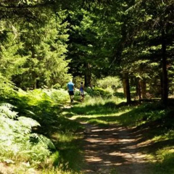 camping-le-vertige-echandelys-bneuy