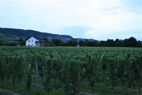 camping-georgshof-wintrich-zu0xx
