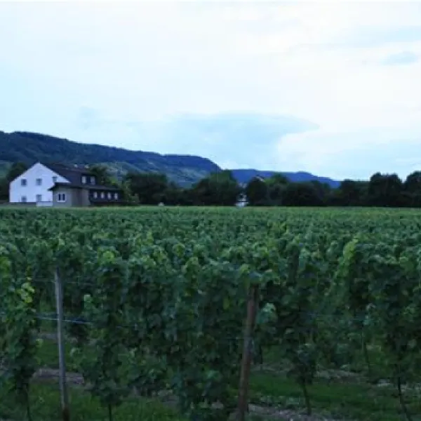 camping-georgshof-wintrich-zu0xx
