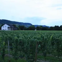 camping-georgshof-wintrich-zu0xx