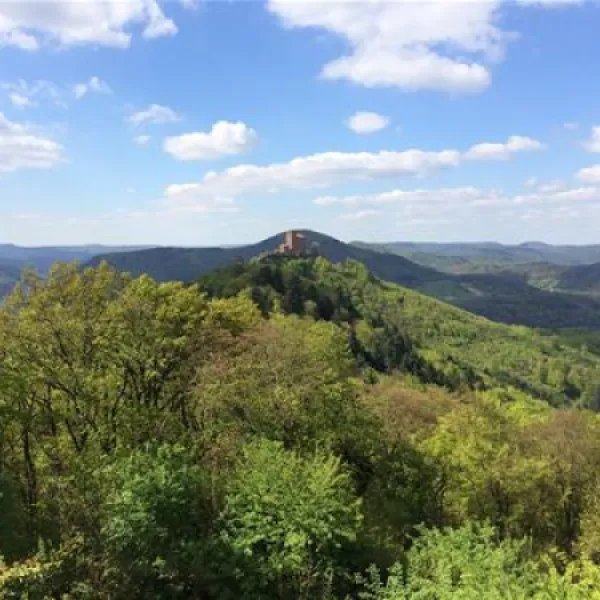 camping-der-naturfreunde-annweiler-am-trifels-nz5wu