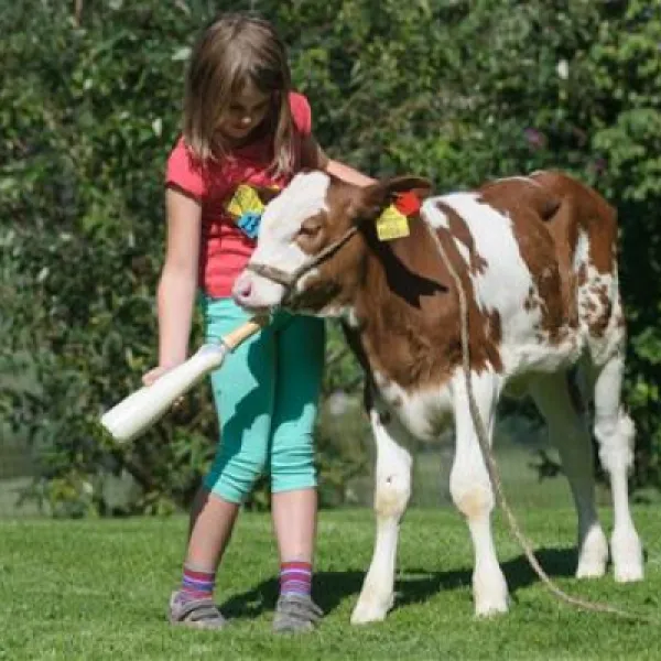 bauernhofcamping-prefelnig-ossiach-dufu9