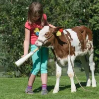 bauernhofcamping-prefelnig-ossiach-dufu9