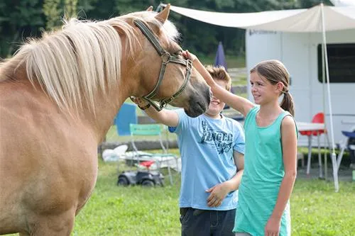 bauernhofcamping-prefelnig-ossiach-yyj2q