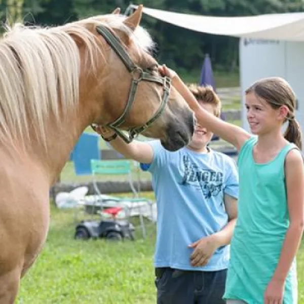 bauernhofcamping-prefelnig-ossiach-yyj2q
